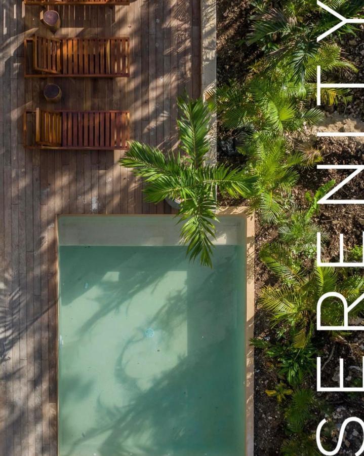Villa Xuncari En El Corazon De La Selva Tulum Eksteriør billede