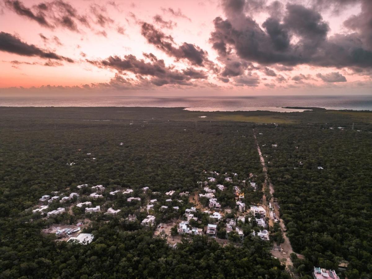 Villa Xuncari En El Corazon De La Selva Tulum Eksteriør billede